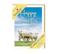 Second Nature Pack of 5 Happy Easter Hospice UK Charity Spring Lambs Easter Cards ESAP006