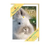Second Nature Pack of 5 Hoppy Easter Hospice UK Charity Fluffy Bunny Easter Cards ESAP005