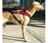 Second Skin Canicross Harness All-Purpose Harness (XL, Red)
