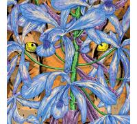 Second Storey - Margosa Heights [VINYL]