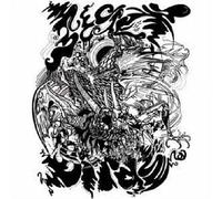 Secret Birds - Asleep On The Dragon