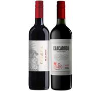 Secret Bottle Shop - Argentina Malbec Duo 2x75cl | Red Wine Deal, Bundle