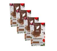 Secret Element Coriandru Macinat 15g Ground Coriander Spice for Curry Meat Vegetables Cooking Product of Moldova Pack of 4
