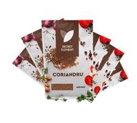 Secret Element Coriandru Macinat 15g Ground Coriander Spice for Curry Meat Vegetables Cooking Product of Moldova Pack of 6