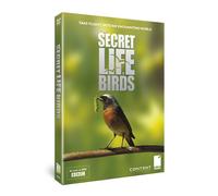Secret Life of Birds