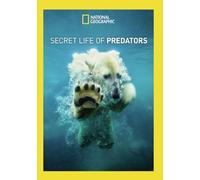 Secret Life Of Predators