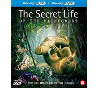 Secret Life Of The Rainforest 3D