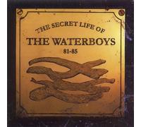 Secret Life of the Waterboys 81-85 by Waterboys (1995-02-07)