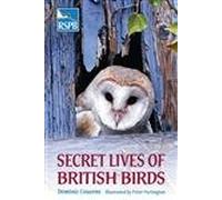 Secret Lives of British Birds (RSPB)