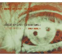 Secret of Life - Its Only Real