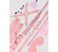 Secret Pleasure Chest Pink Bondage Kit (11 Pieces) - Pink Pink