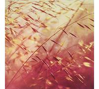 SECRET PYRAMID - Two Shadows Collide [VINYL]