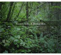 Secret Safe-A Buried Box