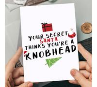 Secret Santa Funny Greeting Card Christmas Xmas Secret Santa Father Christmas Card