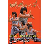 Secret Shaolin Kung Fu