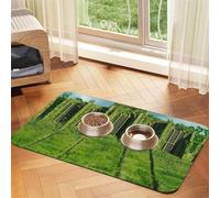 Secret Temple Overgrown with Weeds Pet Feeding Mat Dog Cat Eating Food Absorbent Leather Tablecloth for and Water Bowl Waterproof No Stains Quick Dry Non-Slip 23.62 * 15.75IN