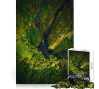 Secret Tropical Sanctuary 1000 Piece Jigsaw Puzzles for Teenagers Memory Boost Home Leisure Image Assembly Lovely Gift (50x75cm)