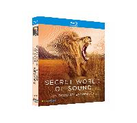 Secret World of Sound with David Attenborough (2024) Blu-ray 1080P BD