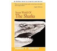 Secret World of The Sharks