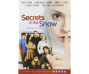 Secrets In The Snow (DVD) Aaron Michael Johnson Hollie Shay (US IMPORT)