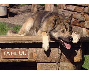 Secrets of Denali National Park