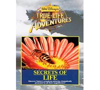 Secrets Of Life