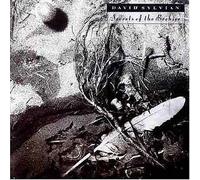 Secrets Of The Beehive (Digipak) by David Sylvian (2003-10-21)