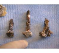 Secrets Of The Crucifixion