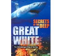Secrets of the Deep: Great White 1 & 2 [DVD] [Region 1] [US Import] [NTSC]