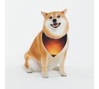 Secrets of The Grid Wall Dog Bandanas-Washable Dog Kerchief for Small to Large Pet Scarf for Girl Or Boy, Pet Accessories