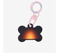 Secrets of The Grid Wall Dog Tags for Pets,Bone-Shaped Acrylic Pet ID Tags,Perfect for Small to Large Dogs and Cats,Cute & Functional