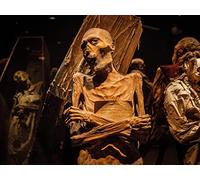 Secrets Of The Mummies
