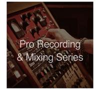 Secrets Of The Pros Pro Recording and Mixing