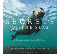 Secrets of the Seas: A Journey into the Heart of the Oceans