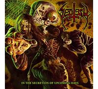 Sectesy - In The Secretion Of Upcoming Days Cd