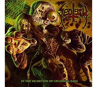 SECTESY - IN THE SECRETION OF UPCOMING DAYS - Vinyl Record - F600z