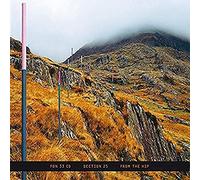 Section 25 - From the Hip [VINYL]