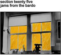 Section 25 - Jams From The Bardo