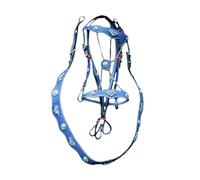 Secure Leather Bridle Head Set, Comfortable Horse Traction Strap with Metal Cage Cover, Equestrian Training Gear for Enthusiasts(Blue)