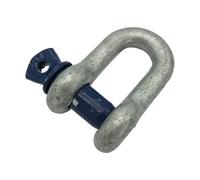 SecureFix Direct 6.5 Ton Dee Shackle With Screw Pin (Lifting 6500Kg 7/8" X 1")