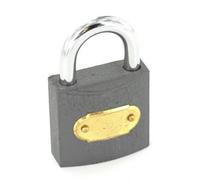 Securit Tricircle Iron Padlock Br Cylinder Grey (32mm)