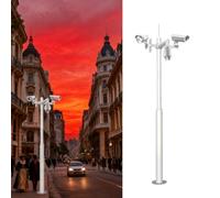 Security Camera Pole Security Camera Mounts for Outside, Cameras Pole with Mounting Rebar Cage, Pole Shutterbug Fit Home & Business Surveillance(Style A,118in/3m(Three paragraphs))