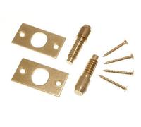 Security Hinge Bolts Electro Brass Plated Steel with Fixing Screws (1 Pair)