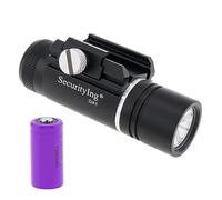 SecurityIng 320LM Rail Mounted Compact Pistol Light, Waterproof Mini Tactical Gun Flashlight Weapon Light Handgun Torch for Picatinny MIL-STD-1913 (1PC, with Battery)