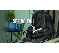 See No Evil