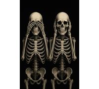 See No Evil Gothic Skeleton Journal: Black aesthetic notebook with a hundred line Pages dark skull design for writing notes or journaling