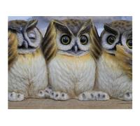 See no Evil Hear no Evil Speak no Evil Cuti Owl Ornament, Statue, Gift