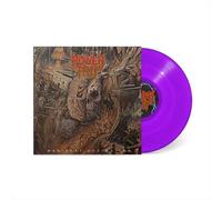 See Through Blue - Scarlet Rebels CD