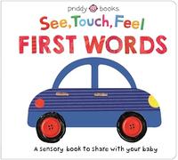 See Touch Feel: First Words: A Sensory Book for Babies and Toddlers
