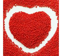 Seed BeadsBulk 2mm Red Seed Beads for Jewelry Making 110 Grams About 9800pcs,12/0 Glass Craft Beads for Making Earrings, Bracelets, Pendants, Waist Jewelry（Red）
